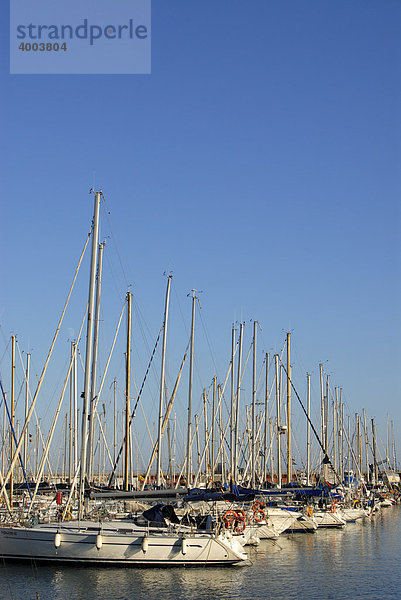 Jachten im Hafen bei Port Olimpic  Barcelona  Katalonien  Spanien  Europa