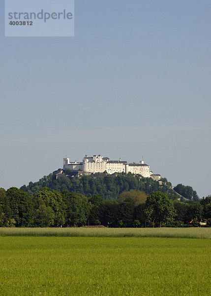 Festung Hohensalzburg  Blick von Hellbrunn  Salzburg  Österreich  Europa