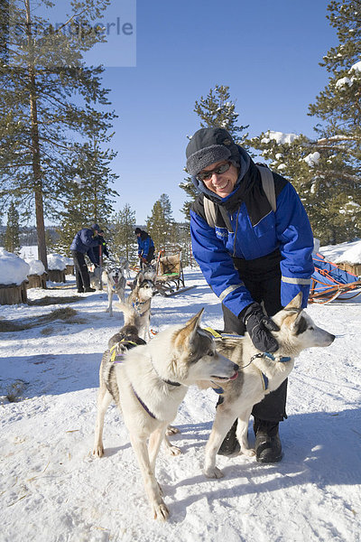 Eine Frau streichelt einen Husky auf einer Hundeschlitten-Fahrt mit Sibirischen Huskies in Kiruna  Lappland  Nord-Schweden  Schweden