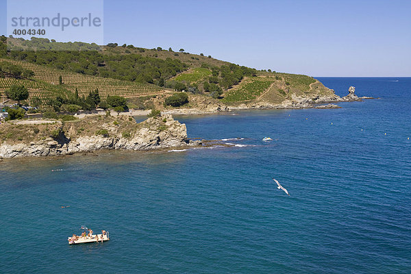 Eine Badeplattform schwimmt in der Bucht von Banyuls sur Mer  an der Cote Vermeille  DÈpartement PyrÈnÈes-Orientales  im Roussillon  Region Languedoc-Roussillon  Südfrankreich  Frankreich