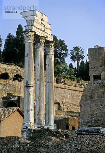 Säulen des Kastor und Pollux-Tempel  Dioskuren-Tempel  Forum Romanum  Rom  Latium  Italien  Europa