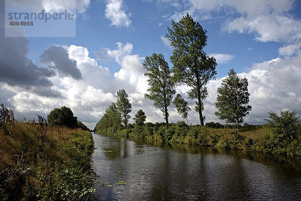 Fehnlandschaft  Ostfriesland  Niedersachsen  Deutschland  Europa