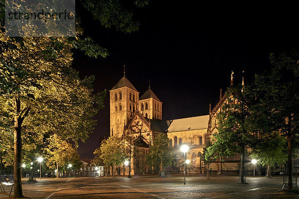 St.-Paulus-Dom  Münster  Münsterland  Westfalen  Nordrhein-Westfalen  Deutschland  Europa
