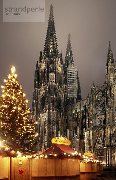 Weihnachtsmarkt und Weihnachtsbaum vor dem Kölner Dom  Köln  Nordrhein-Westfalen  Deutschland  Europa
