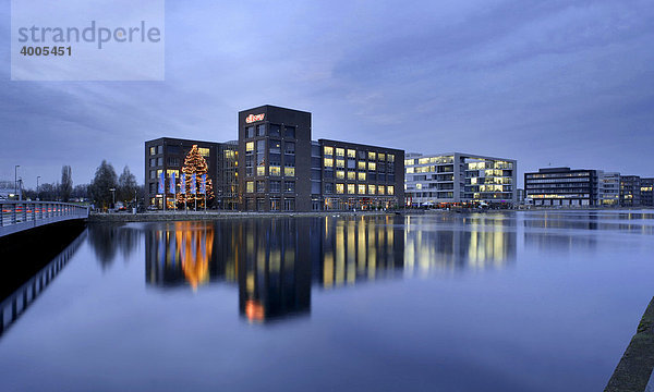 Bürogebäude im Innenhafen mit Weihnachtsbaum  Duisburg  Ruhrgebiet  Nordrhein-Westfalen  Deutschland  Europa