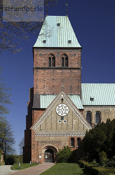 Ratzeburger Dom  Ratzeburg  Schleswig-Holstein  Deutschland  Europa