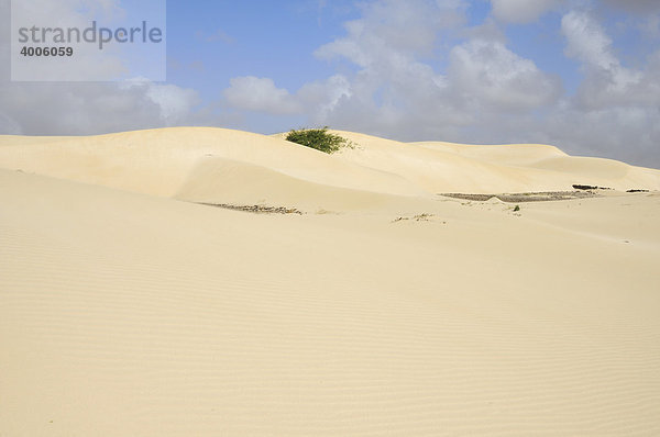 Sandwüste Deserto Viana  Insel Boa Vista  Kapverdische Inseln  Kap Verde  Afrika
