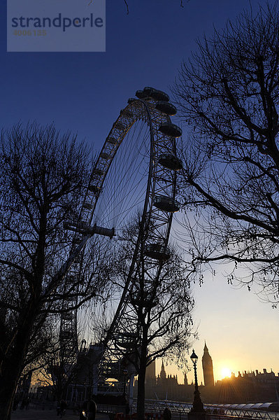 Das London Eye Riesenrad in der Abenddämmerung  South Bank  London  England  Großbritannien  Europa