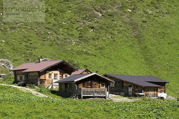 Stoankasern-Alm  Hintertux  Zillertal  Tirol  Österreich  Europa