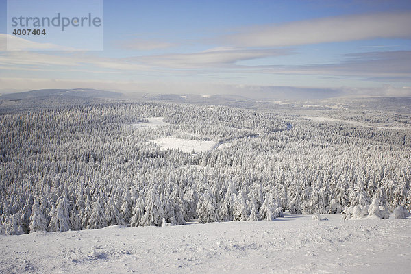 Blick vom Brocken auf eine prächtige  dick eingeschneite Winterlandschaft  Sachsen-Anhalt  Deutschland