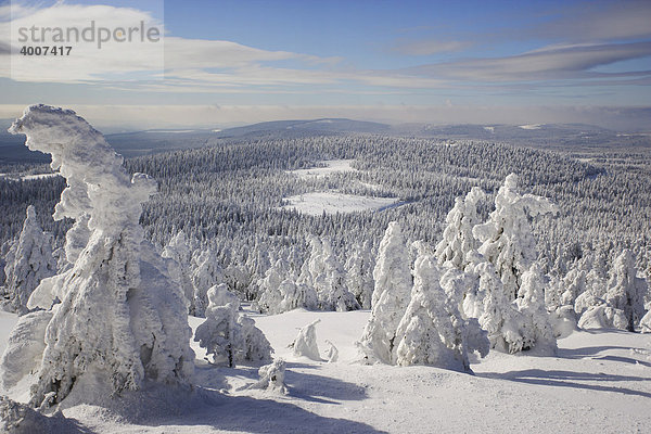 Blick vom Brocken auf eine prächtige  dick eingeschneite Winterlandschaft  Sachsen-Anhalt  Deutschland