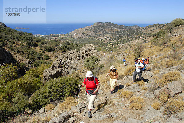 Gruppe beim Wandern in mediterraner Landschaft  Macchie  Mühlental bei Petra  Lesbos  Ägäis  Griechenland  Europa