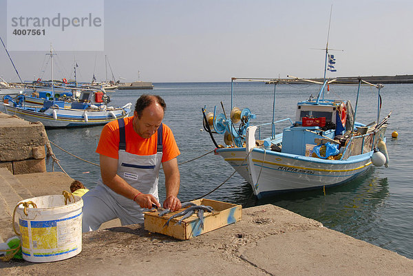 Fischer nimmt Fisch aus  Hafen mit Fischerbooten  Plomari  Lesbos  Ägäis  Griechenland  Europa