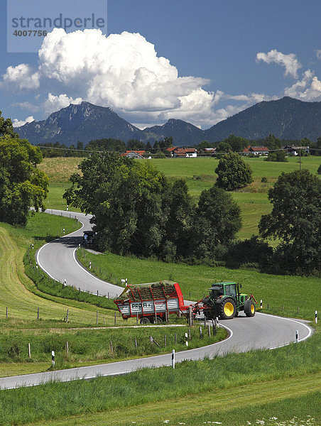 Straße  Landwirtschaft  Landschaft  Sommer  Riegsee  Murnau  Oberbayern  Bayern  Deutschland  Europa