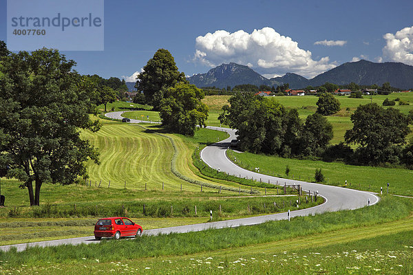 Straße  rotes Auto  Landschaft  Sommer  Riegsee  Murnau  Oberbayern  Bayern  Deutschland  Europa