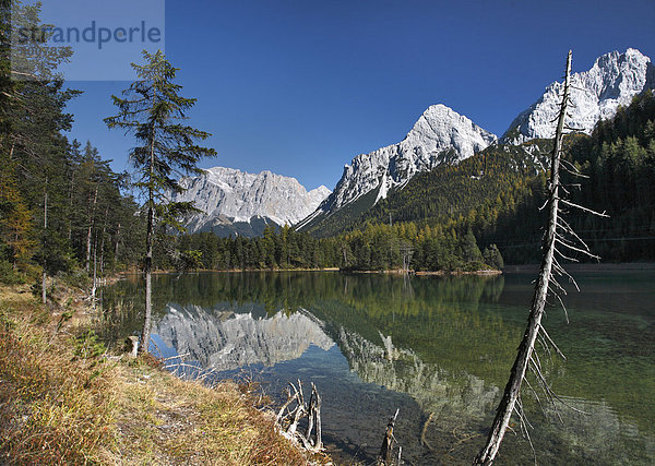 Weißensee bei Biberwier  Fernpass  Zugspitze  Spiegelung  Wettersteingebirge  Tirol  Österreich  Europa