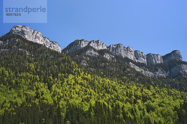 Waidringer Steinplatte  Felsformation zwischen St. Johann und Lofer  Salzburger Land  Österreich  Europa