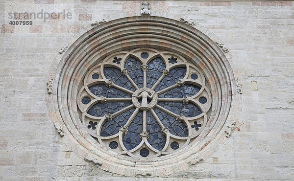 Rosette an der Fassade der Kathedrale von Trient  Trento  Trentino  Südtirol  Italien  Europa