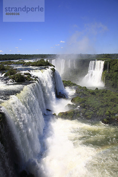 Iguacu  Iguazu Wasserfälle  brasilianische Seite  UNESCO Weltnaturerbe  im Iguacu Nationalpark  Brasilien