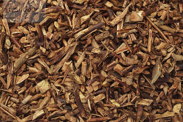 Getrocknetes Dornen-Kraut der Heilpflanze chinesische Gleditschie (Gleditsia horrida sinensis) Seifenbohnendornen  Zao Jiao Li