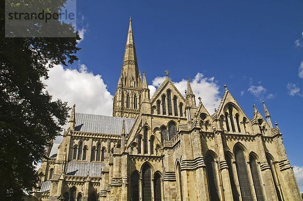 Salisbury Kathedrale  Salisbury  Dorset  Südengland  England