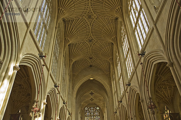 Bath Abbey  Fächergewölbe  Bath  Somerset  Südengland  England  Großbritannien  Europa