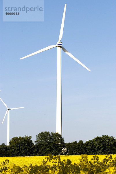 Windkraftanlagen in einem blühenden Rapsfeld  Norddeutschland  Schleswig-Holstein  Deutschland  Europa