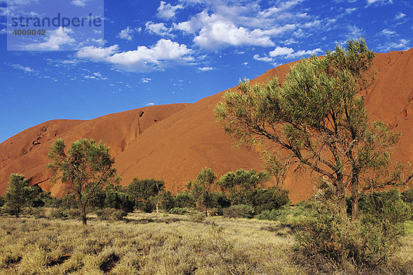Ayers Rock  Uluru  Detailansicht  Northern Territory  Australien