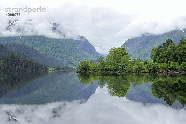 Wald spiegelt sich im Bj¯rkedalsvatnet See in der Nähe von Volda  Norwegen  Skandinavien  Europa