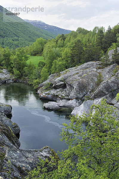 Fluss Driva im Nationalpark Dovrefjell  Norwegen  Skandinavien  Europa