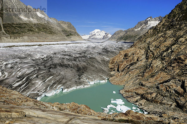Großer Aletschgletscher mit Gletschersee im Vordergrund  Goms  Wallis  Schweiz  Europa