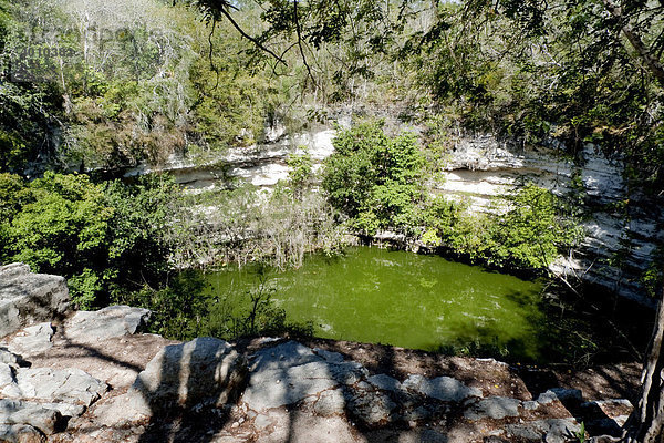 Cenote  heiliger Brunnen  Cenote Sagrada in Chichen Itza  Yucatan  Mexiko  Zentralamerika