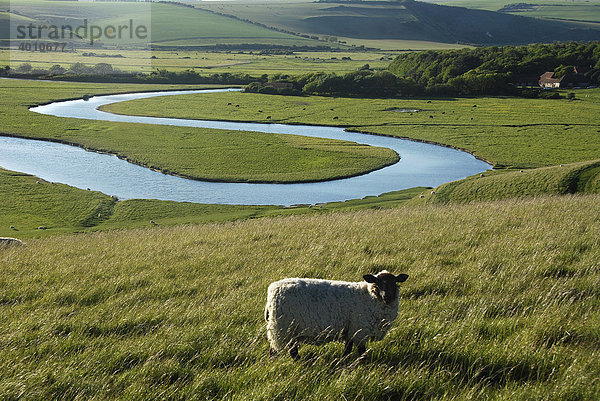 Seven Sisters Country Park  Cuckmere Haven  Sussex  England  Großbritannien