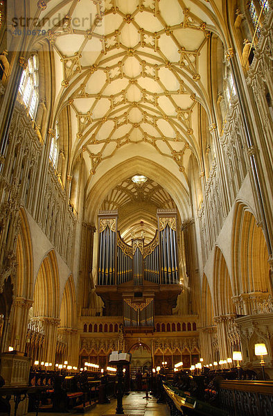 Chorraum der St. Andrew's Kathedrale von Wells  Somerset  England  Großbritannien