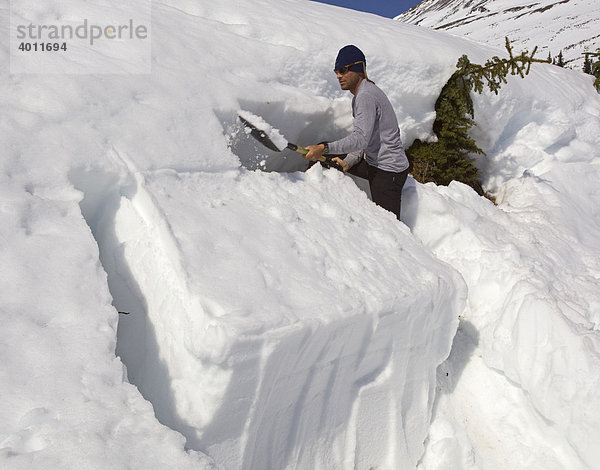 Lehrer präpariert Schnee für den Rutschblock Test zur Prüfung der Lawinengefahr  Yukon outdoor school Programm  Chilkoot Pass  Chilkoot Trail  British Columbia  Kanada