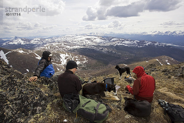 Gruppe von Wanderern und Hunden macht Rast  Berg Mt. Lorne und Berge des Pacific Coast Gebirges dahinter  Yukon Territory  Kanada  Nordamerika
