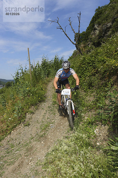 Mountainbike-Rennen in den Weinbergen bei Boppard  Rheinland-Pfalz  Deutschland  Europa
