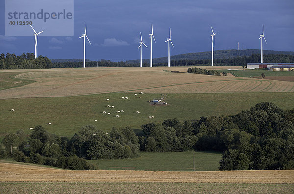 Windpark bei Kisselbach im Hunsrück  Rheinland-Pfalz  Deutschland  Europa