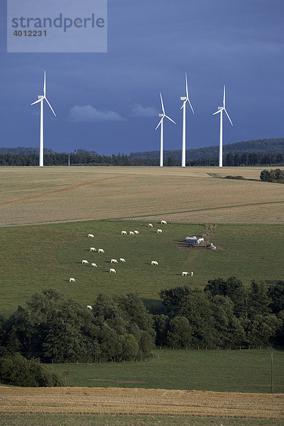 Windpark bei Kisselbach im Hunsrück  Rheinland-Pfalz  Deutschland  Europa
