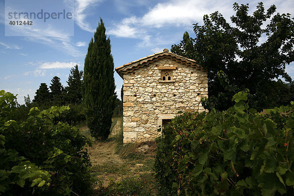 Landwirtschaftliches Gebäude in einem Weinfeld  Frankreich