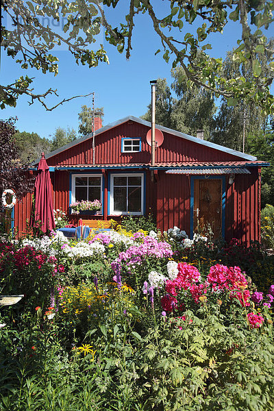 Ferienhaus mit buntem Garten im landestypischen Baustil bei Nida im Nationalpark Kuröiu Nerija auf der Kurischen Nehrung in Litauen Ferienhaus