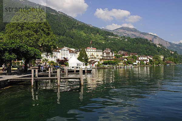 Die Ortschaft Weggis am Vierwaldstättersee  eine populäre Feriendestination  Kanton Luzern  Schweiz  Europa Kanton Luzern