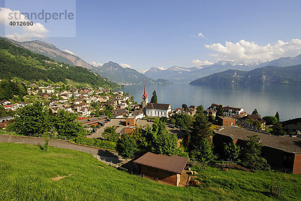 Weggis am Vierwaldstättersee  eine populäre Feriendestination  Kanton Luzern  Schweiz  Europa Kanton Luzern
