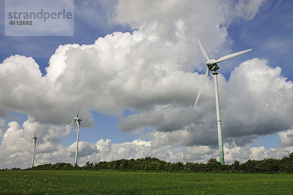 Windkraftanlagen wandeln die Windenergie in Strom um  Schleswig Holstein  Deutschland  Europa