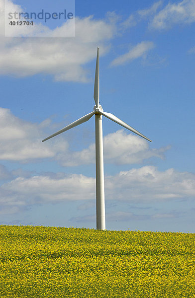 Windkraftanlage erzeugt Strom  Schleswig Holstein  Deutschland  Europa