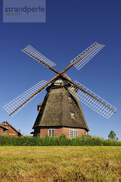 Windmühle bei Gelting  Schleswig Holstein  Deutschland  Europa