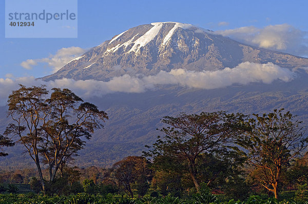 Kilimanjaro  5895m  Aussicht von der Straße von Moshi nach Mweka  Tansania  Afrika
