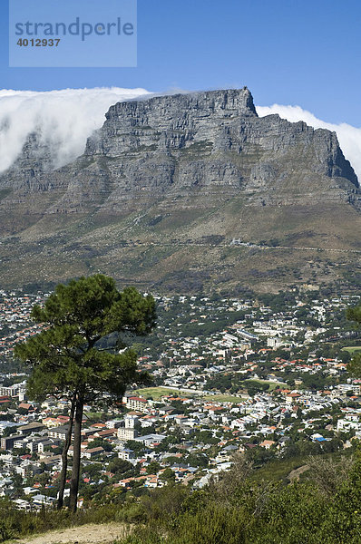 Tafelberg in Kapstadt  Aussicht vom Signal Hill  Südafrika