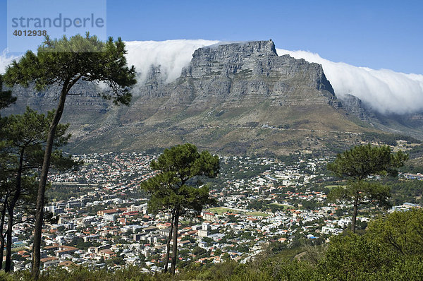 Tafelberg in Kapstadt  Aussicht vom Signal Hill  Südafrika