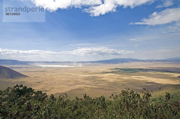 Der Ngorongoro Krater  600m tief und 20 km Durchmesser  in der Trockenzeit  Blick vom Rhino Point  Tansania  Afrika